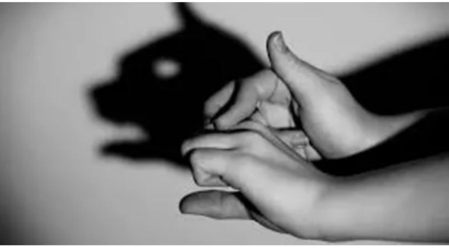 xray shadow