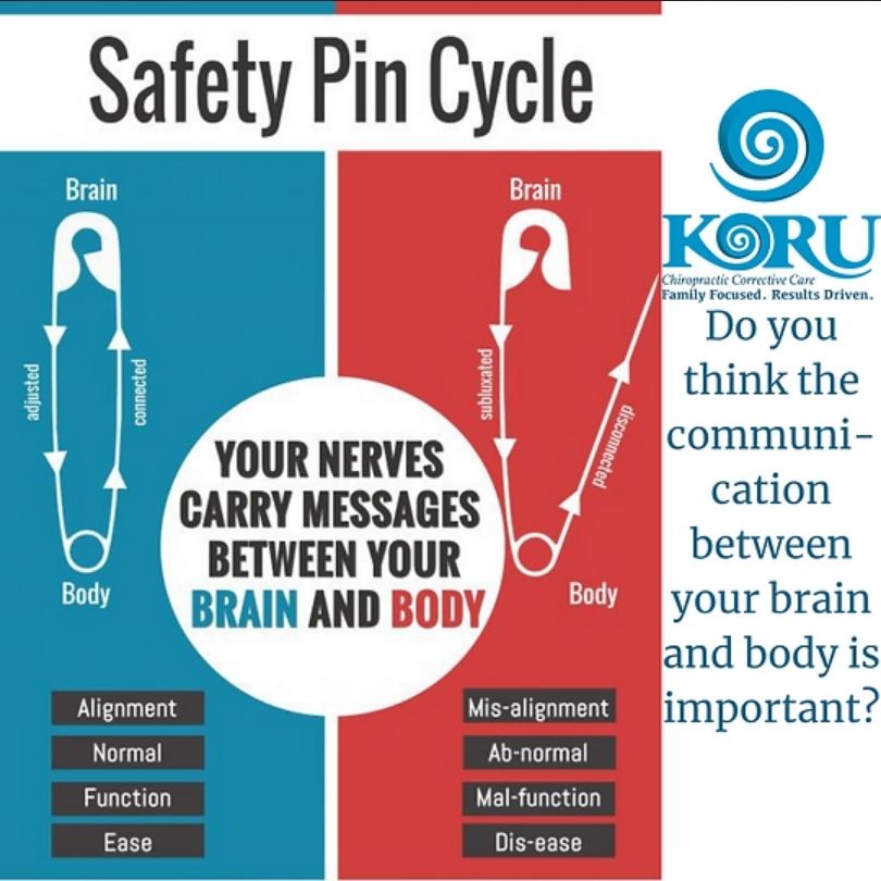 safety-pin cycle