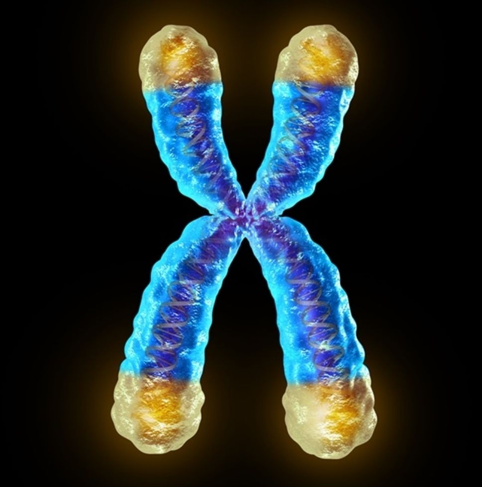 dna