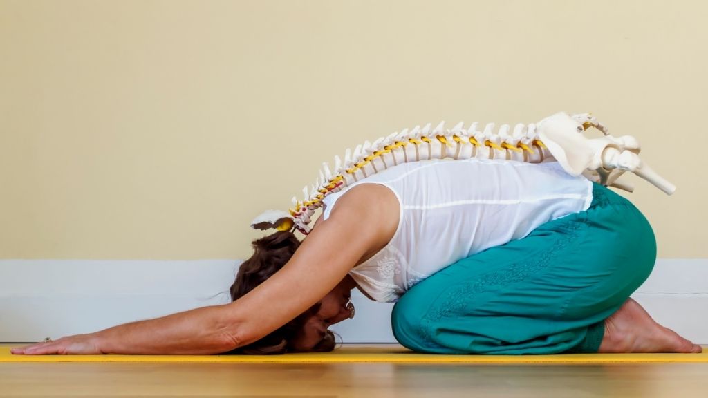spinal hygiene