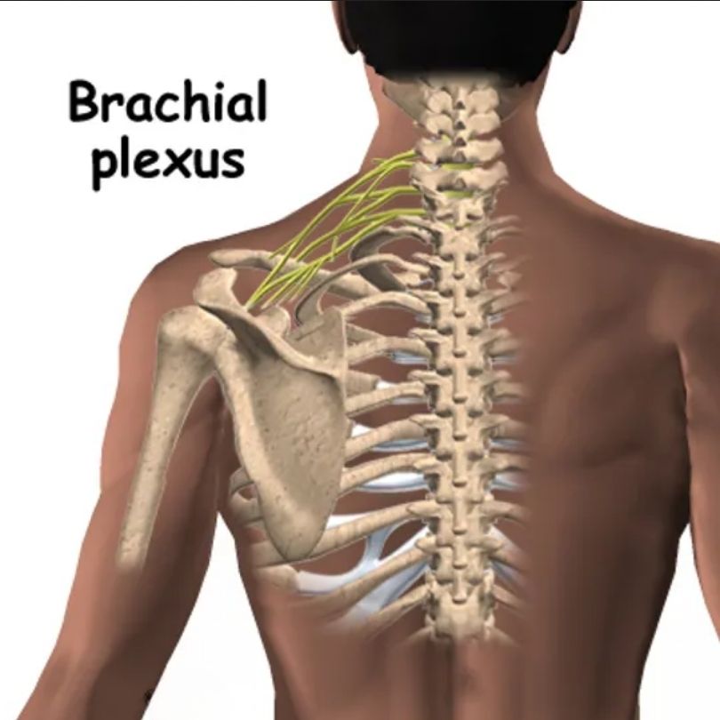numbness and tingling shoulder