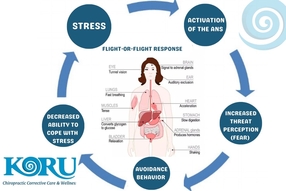 the cycle of stress 