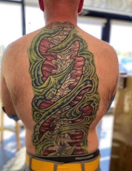 chiropractor in louisville, co inspires spinal tattoo 